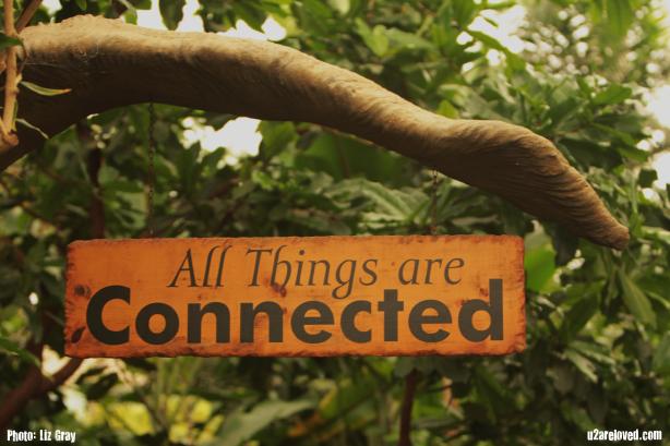 All Things Are Connected